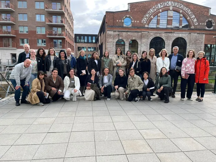 Strategic Training per a Project Managers